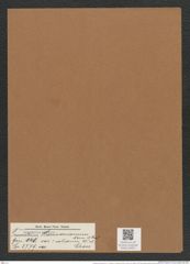 Triceratium harrisonianum var. ? solidum W. et Chase (de-Toni-Nr.: Genus 140, Species 3779) Zeichnungen Sammlung Grunow Mappe 03871 (Herbarium_W_Grunow_drawings_Folder_03871)